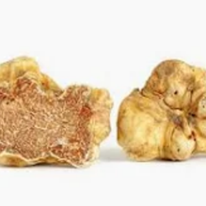White Truffle Tree — 36 mo Plan