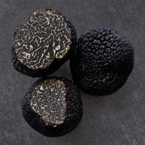 Fresh Black Périgord Truffle